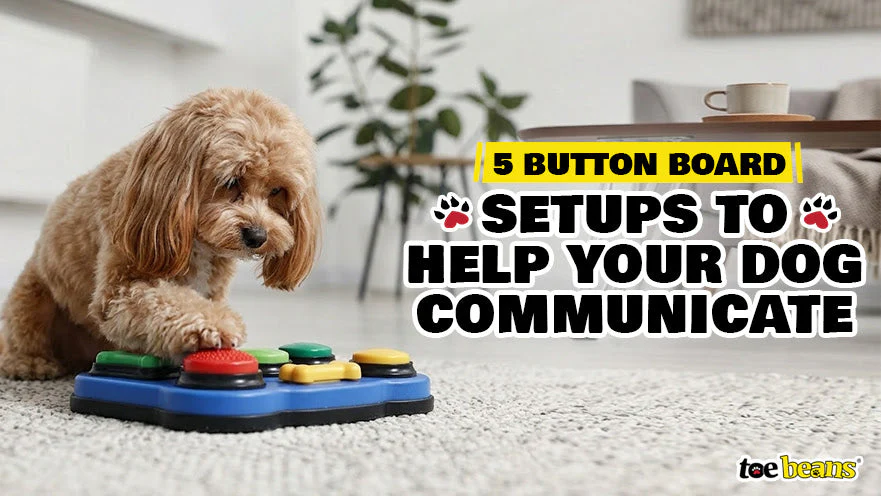 Pure Comfort for Paws